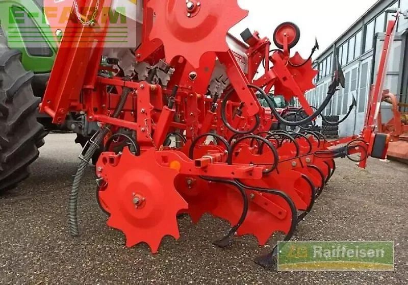 Maschio hp6-3m 50cm mit dünger