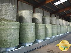 Burdorf Heutrocknung MD1-1300