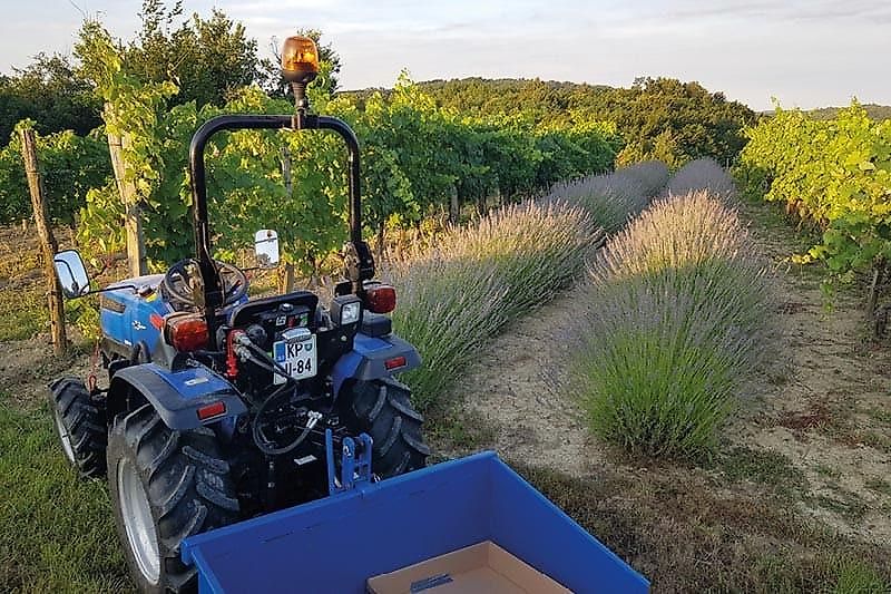 Solis 26 Seitenschaltung Frontlader Ackerstollenbereifung