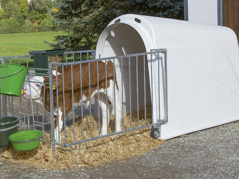 Kerbl CalfHouse Masterplus Kälberiglu