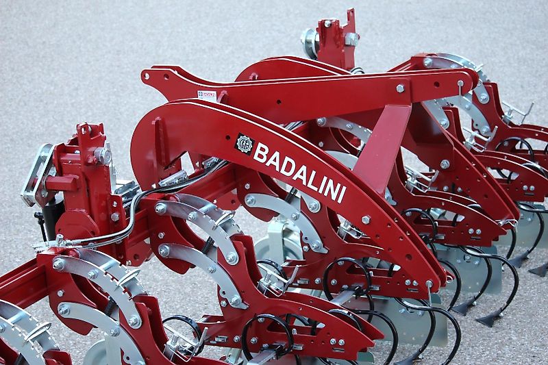 BADALINI Hackgerät, Hackmaschine 6-reihig