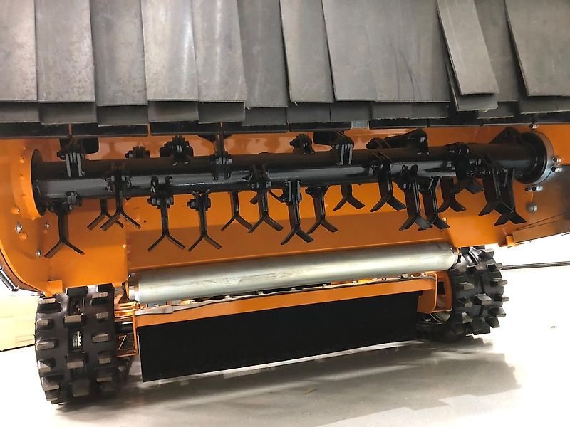 AS-Motor AS 1000 Ovis RC