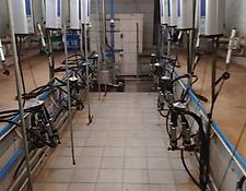 DeLaval Doppel 5er Fischgräte