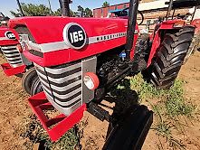 Massey Ferguson 165