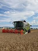 Claas 430 tucano traktorpool Angebot