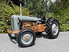 Massey Ferguson 35 GOUDBUIK traktorpool Angebot