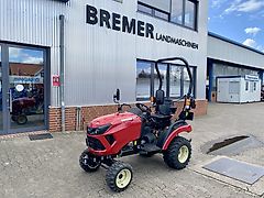 Yanmar SA 221 V Allrad ROPS