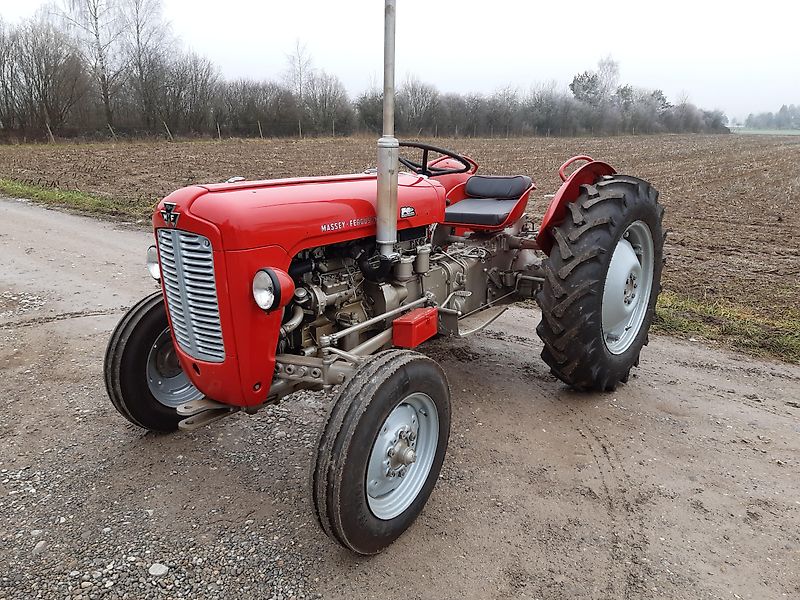 Massey Ferguson 35 Erfahrungsbericht Titelbild