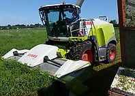 Claas Direct Disc 610 Claas Direct Disc 610