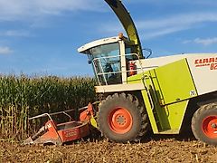 Claas Jaguar 820