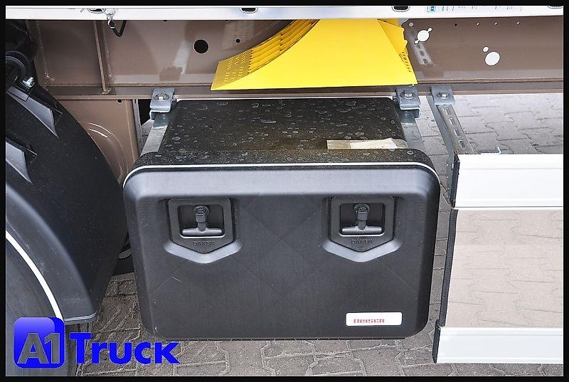 Benalu Reisch Kippmulde 50m³