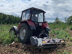 Aardenburg Alpha M Grizzly / Schlegelmulcher, mulcher 180-260 cm
