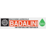 BADALINI